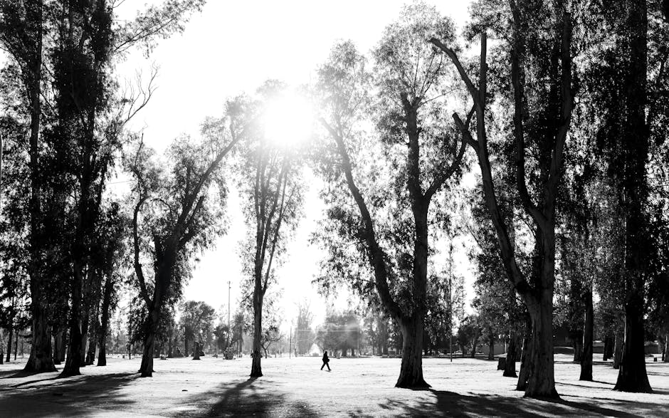 Breathtaking view of a vibrant sunset sinking into the ocean horizon with dramatic clouds.