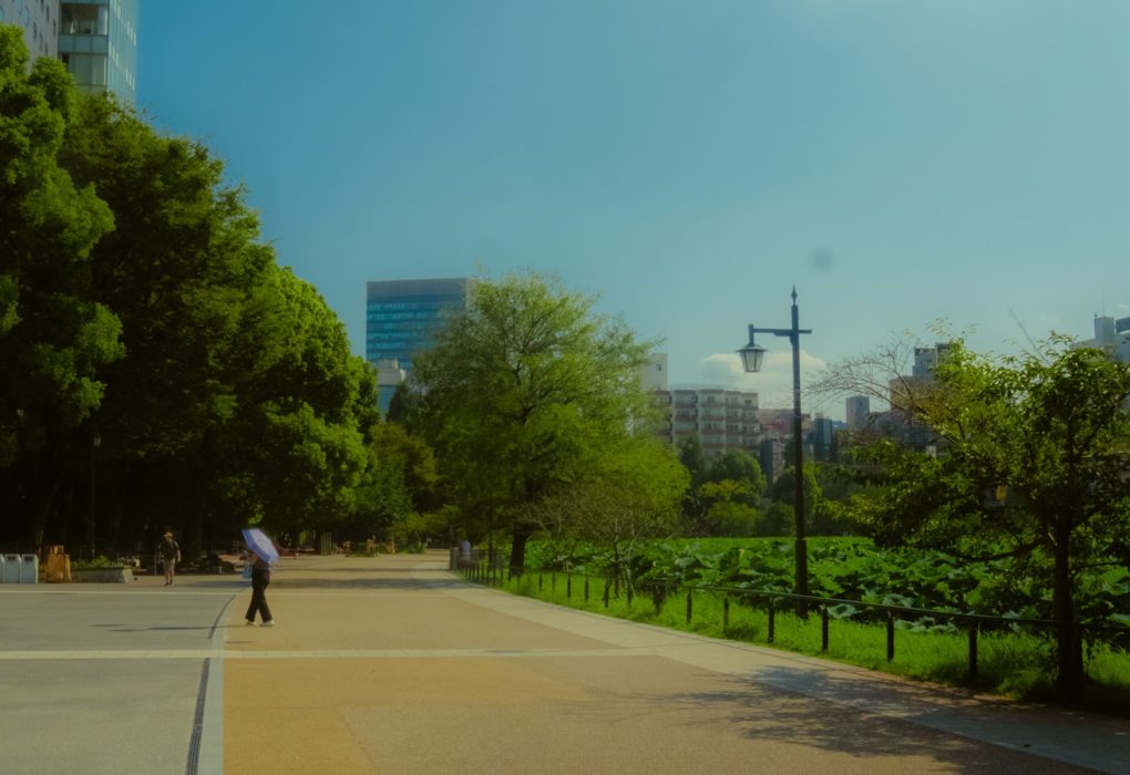 Raziskovanje skritih kotičkov mesta ob spomladanskem soncu Raziskovanje skritih kotičkov mesta ob spomladanskem soncu