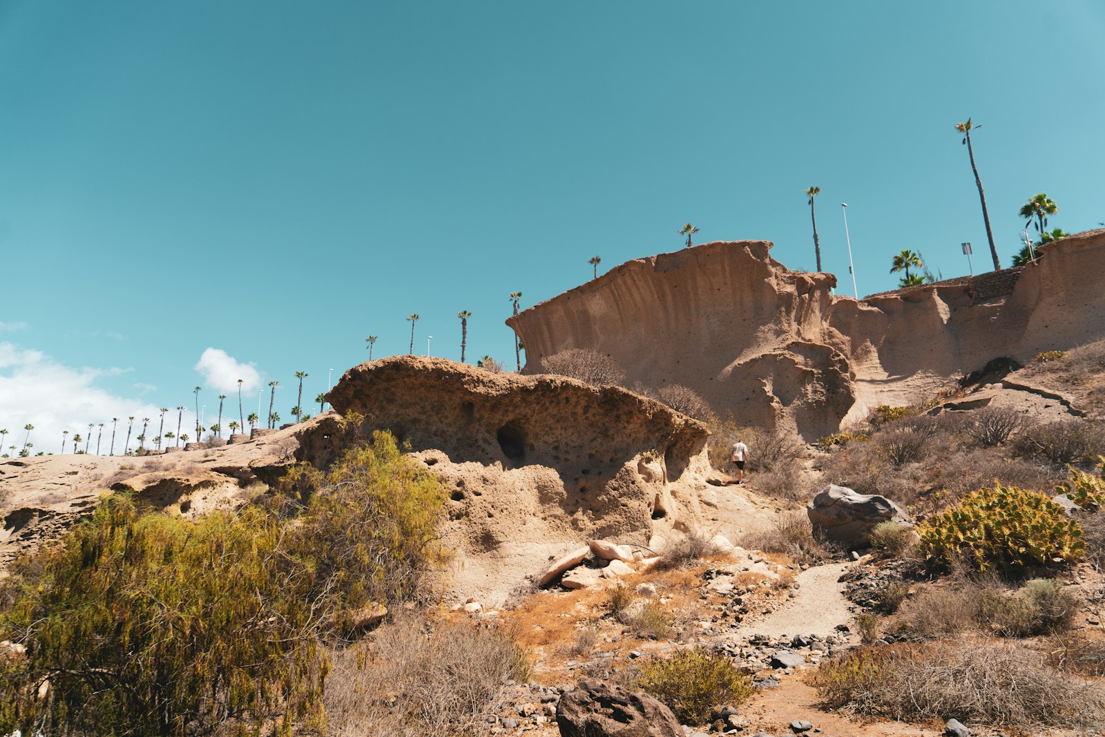 Journey Through Geological Strata Uncovering Earth's Ancient Layers