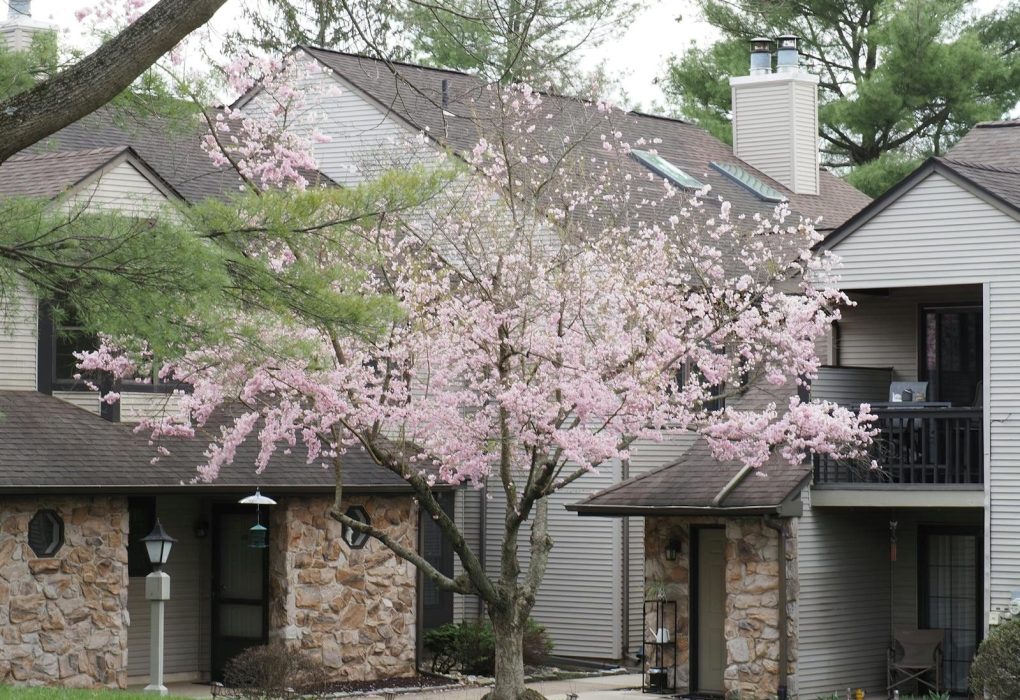 Spreminjanje letnih časov in prilagajanje življenjskega prostora