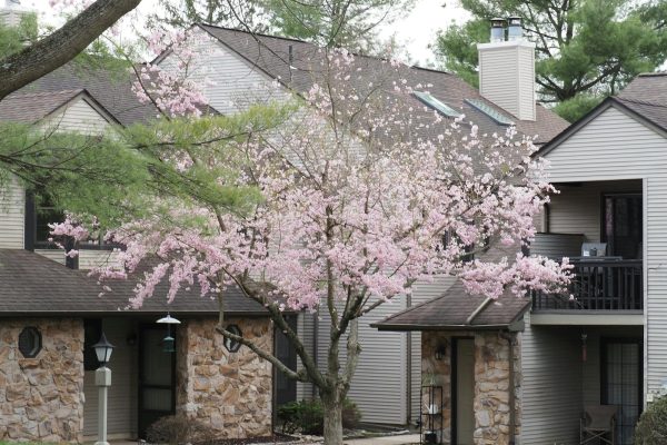 Spreminjanje letnih časov in prilagajanje življenjskega prostora