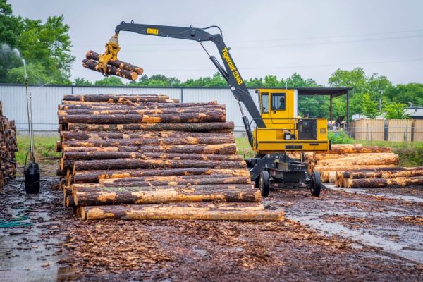 Tehnološki napredek v mehanizaciji in obdelavi lesnih materialov za industrijo